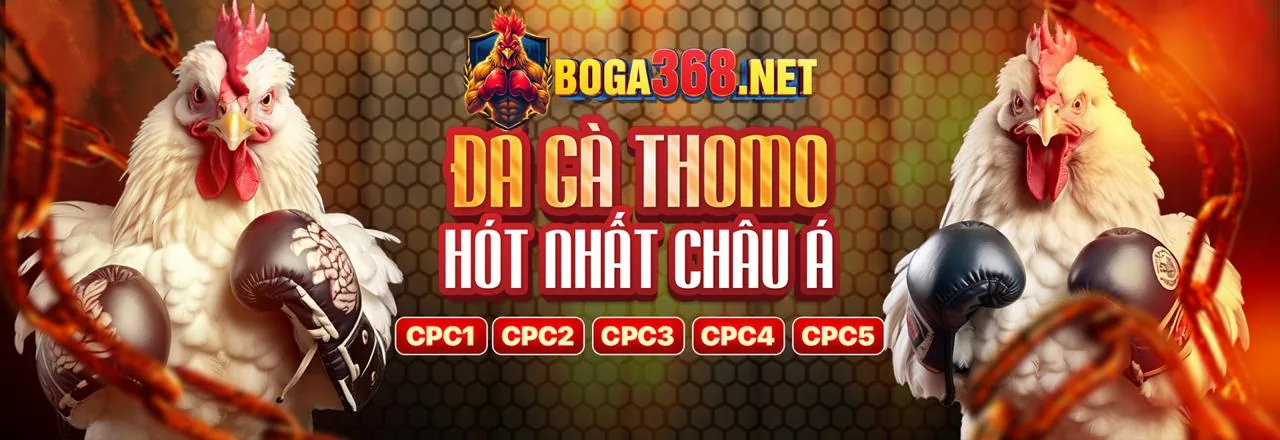 Hướng dẫn tải ứng dụng Onbet2 trên điện thoại